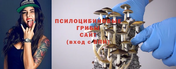 марки lsd Богородицк