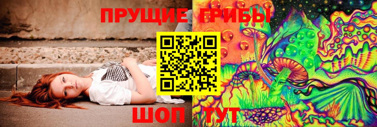 Псилоцибиновые грибы ЛСД  Вход с VPN  Буйнакск 